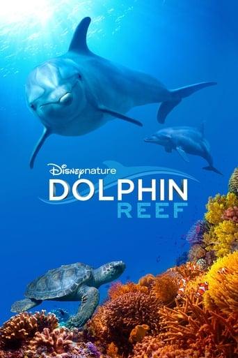 Dolphin Reef poster