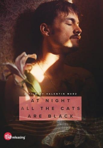 At Night All the Cats Are Black poster