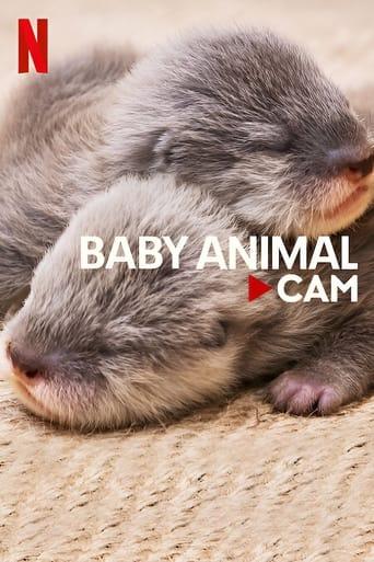 Baby Animal Cam Poster