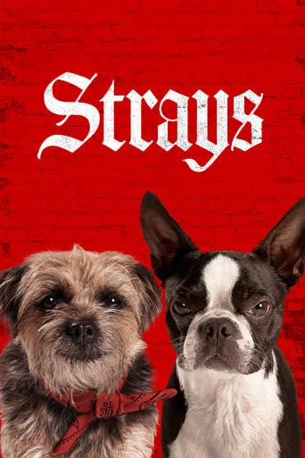 Strays poster