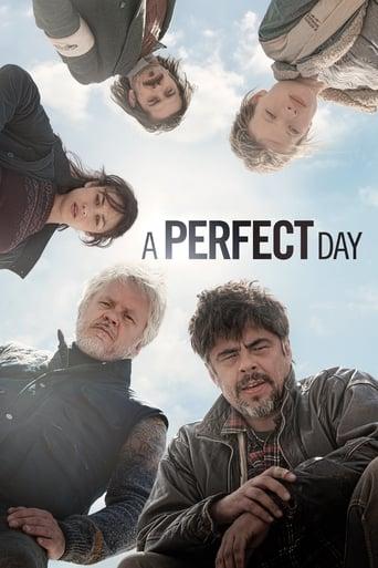 A Perfect Day poster