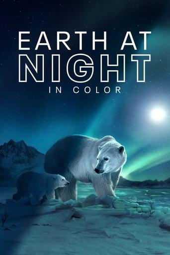 Earth at Night in Color Poster