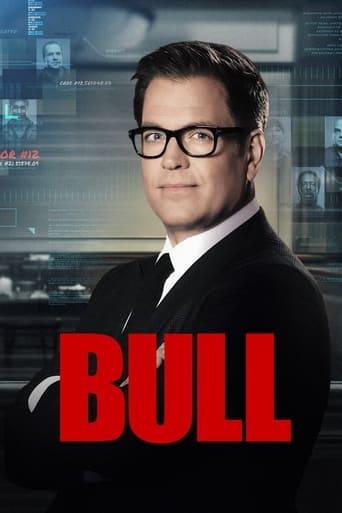 Bull Poster