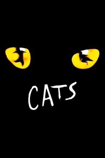 Cats poster