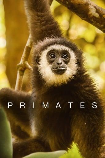 Primates Poster