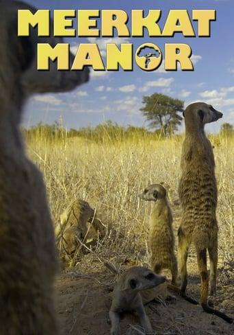 Meerkat Manor Poster