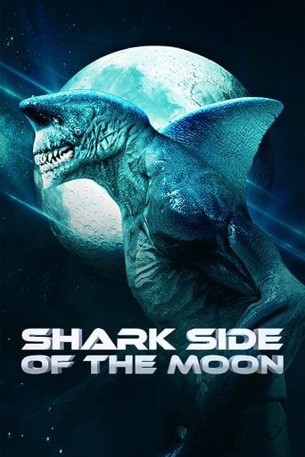 Shark Side of the Moon poster