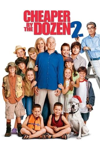 Cheaper by the Dozen 2 poster