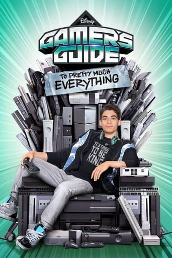 Gamer's Guide to Pretty Much Everything Poster